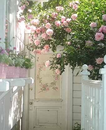 Розы возле вашего дома