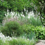 красивое оформление белого сада