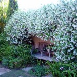 беседка с белыми цветами в саду