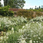белый сад в природном стиле