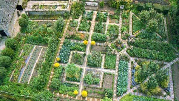 Красивый огород своими руками – 22 идеи по обустройству грядок