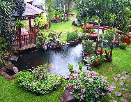красивые сады с прудом