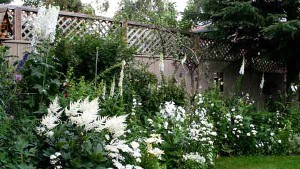 белые цветы в ландшафтном дизайне сада