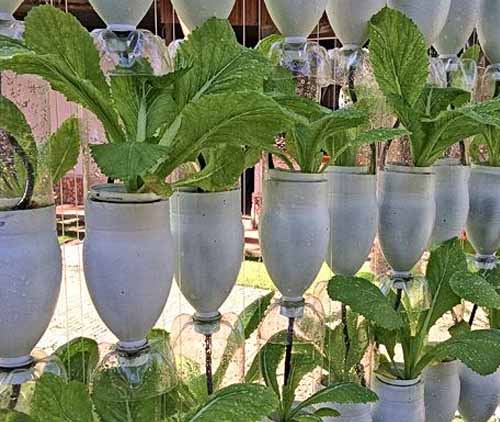 идеи для дачи вертикальный сад из пластиковых бутылок