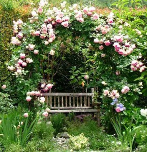 садовые арки из роз фото