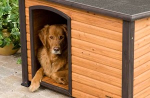 как построить будку для собаки