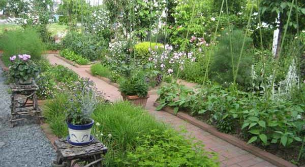 Сад, огород и дача — интересные идеи 🎍 и все самое яркое своими руками из подручных материалов